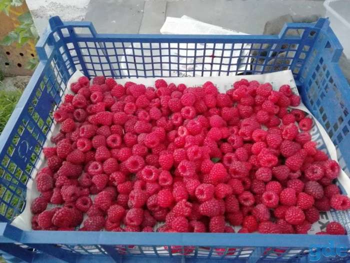 продам малину, фотография 1