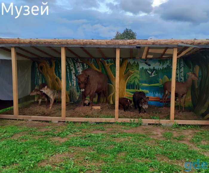 Жилье на сутки, усадьба, отдых на природе, фотография 4