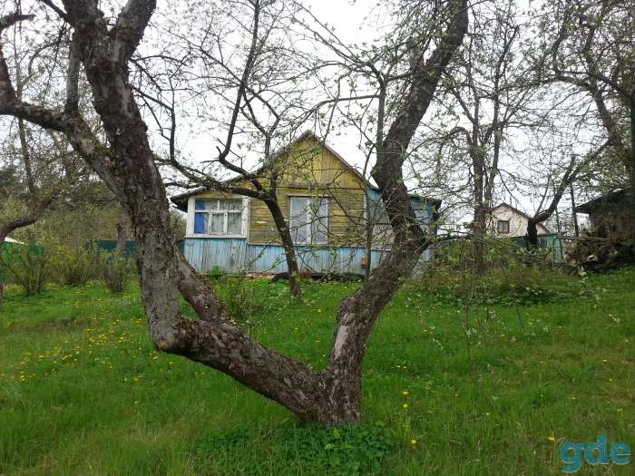 продаётся дача в витебске в Лучесе 7мин.от астоновки -юг 7, фотография 2