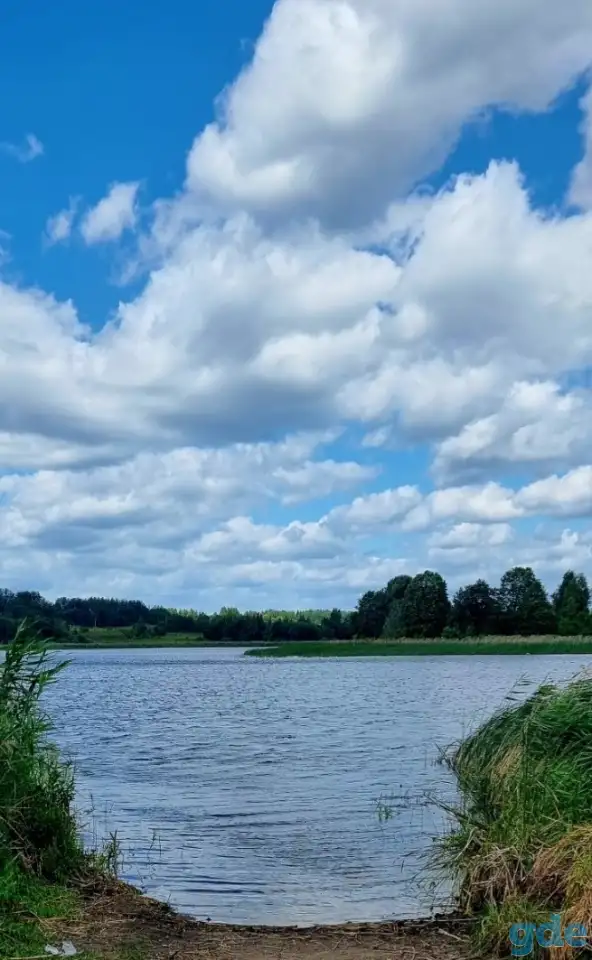 Сдам дом на берегу озера, Ушачского района, фотография 2