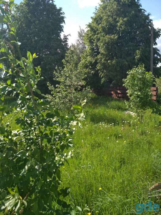 продам участок, оршанский р-н. д.румино, фотография 3