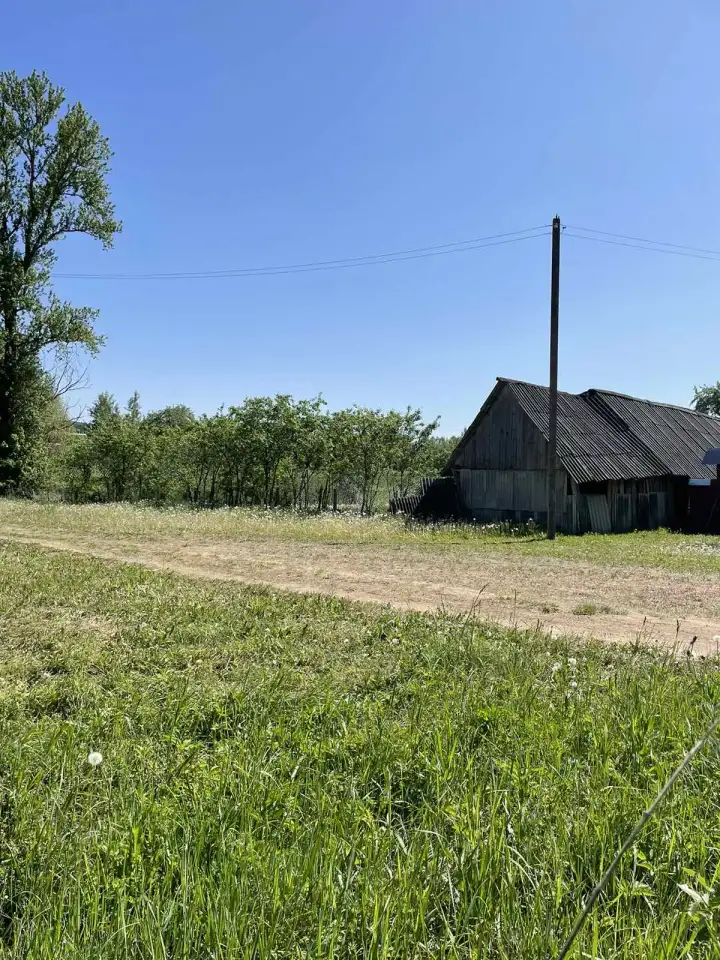 Дом-дача в деревне, Приозёрная ул, деревня Зазерье, Вировлянский сельсовет, Городокский район, Витеб, фотография 3