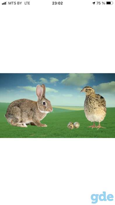 Диетические продукты, фотография 1
