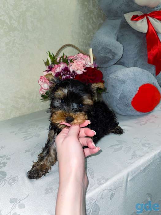 Продаю, фотография 7