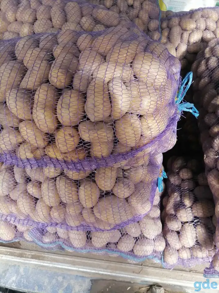 Продам картофель, не дорого, с доставкой по г. Минску от сетки., фотография 1