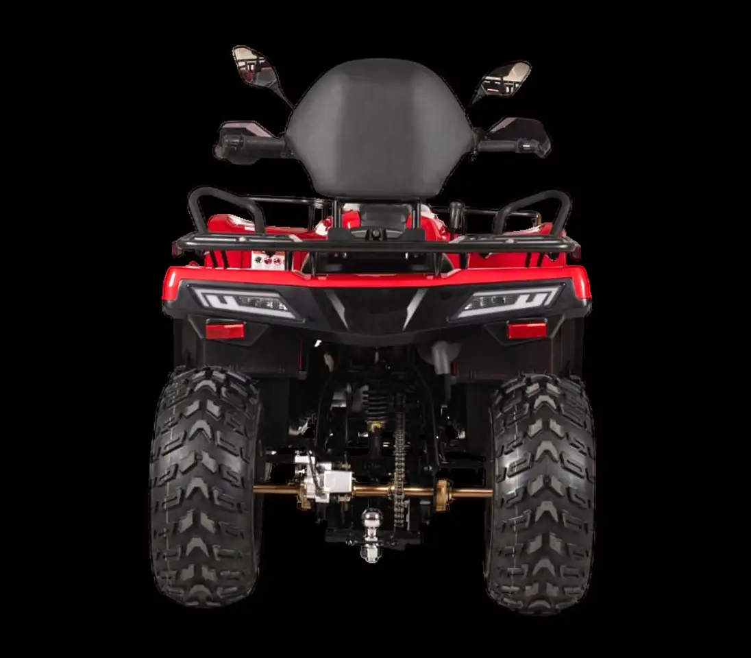 Квадрицикл bizon yk250 lux efi, фотография 2