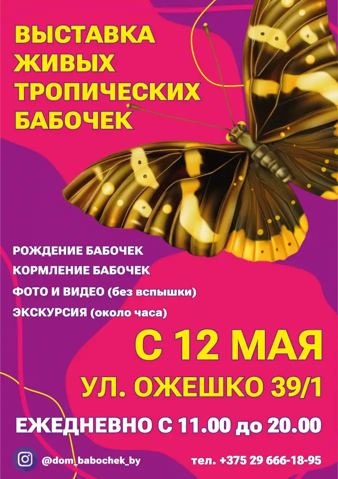Выставка живых бабочек, фотография 1
