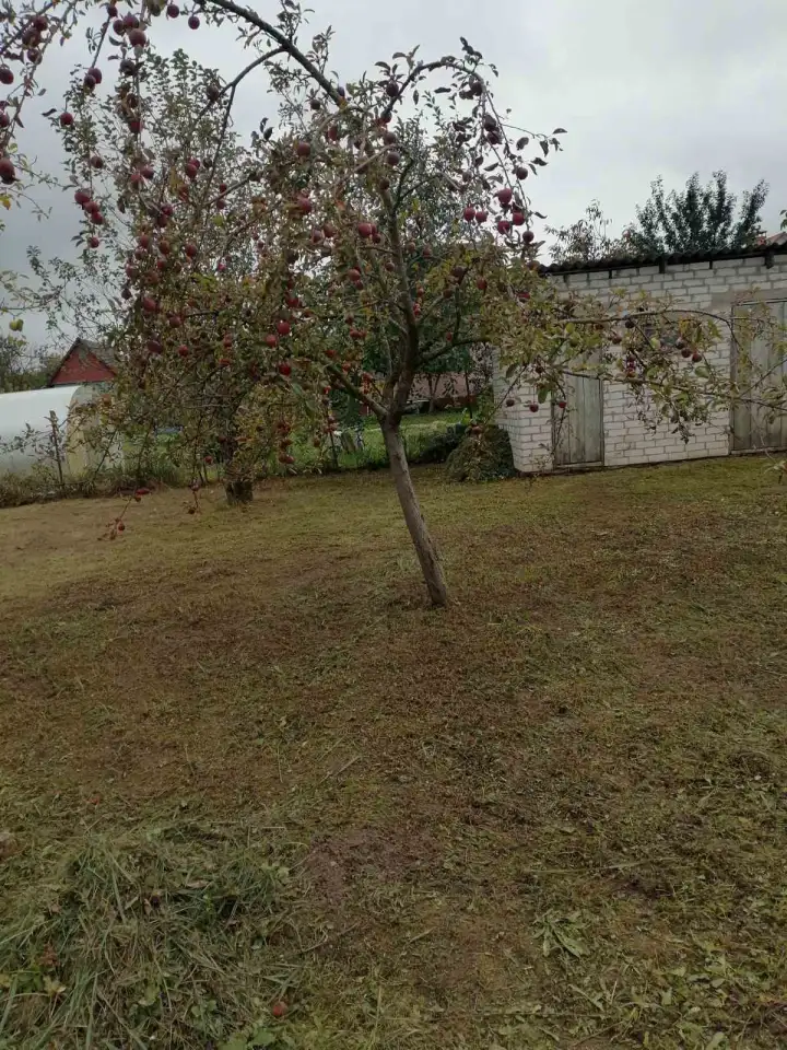 Продаётся дача, Гродненский рн., Каптевский с/с, СТ Зелёный огонёк, фотография 8