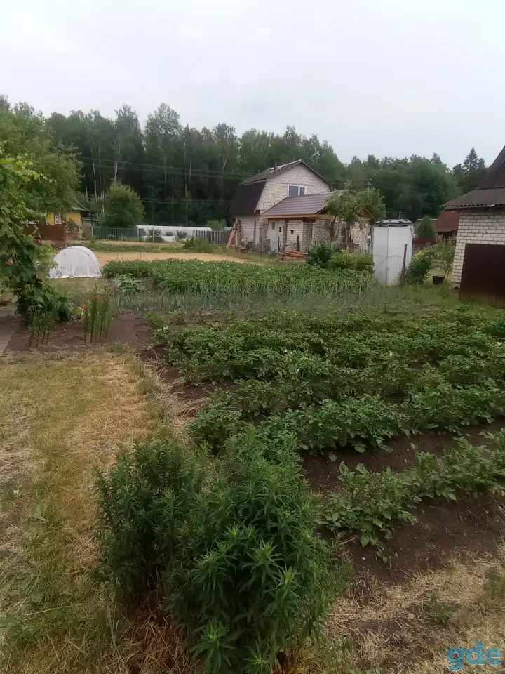 дача, с/т Изобилие, фотография 4