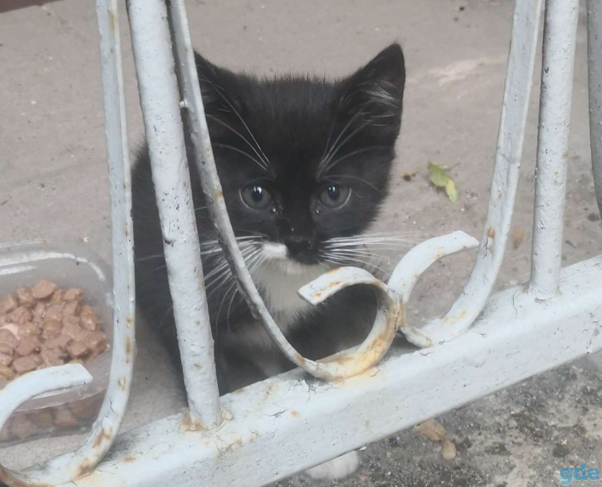 Малыш, фотография 1