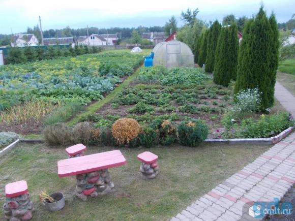 Дом в пригороде Витебска, Веремеевка Городка)., фотография 3
