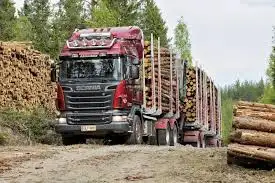 Услуги лесовозов. Работаем по все РБ., фотография 1