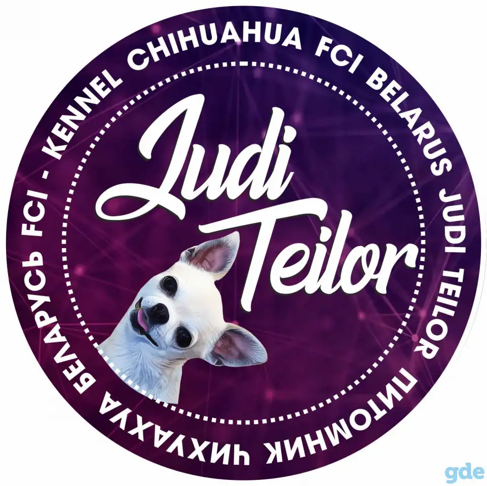Питомник чихуахуа JudiTeilor, фотография 1