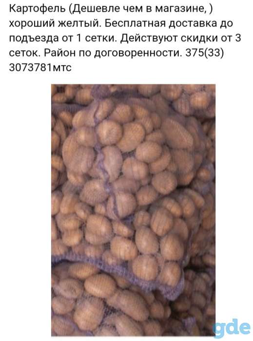 Картофель, картошка, фотография 1