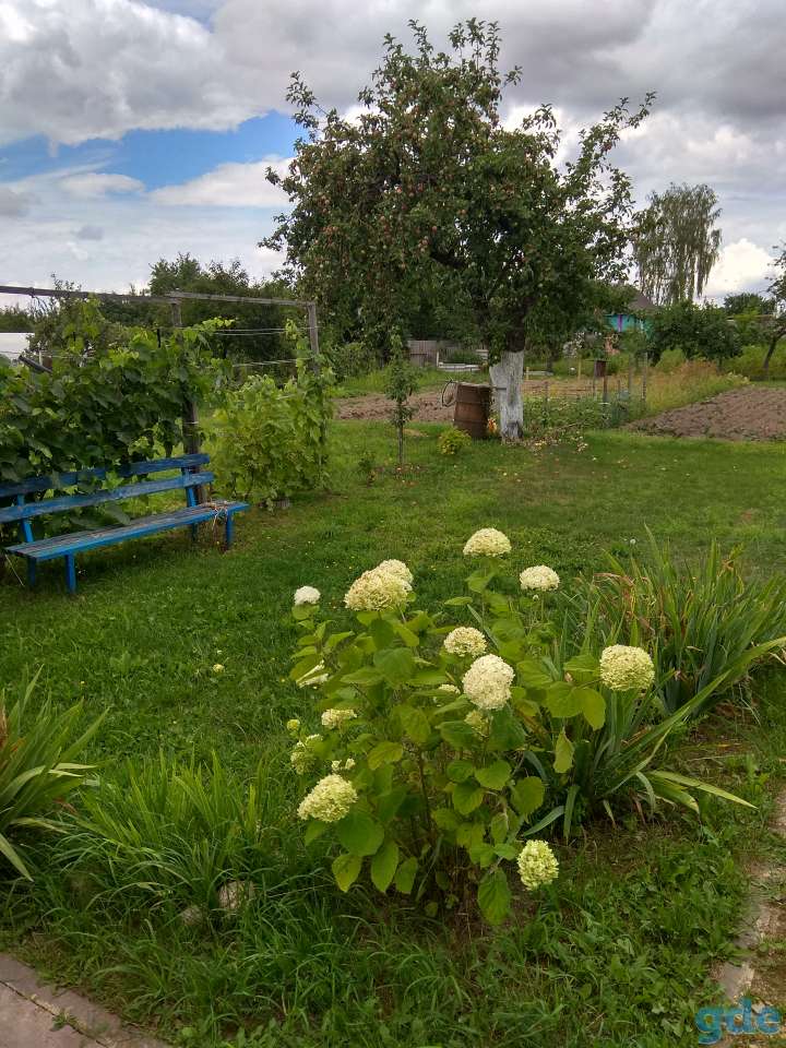 Продам дом с участком, ул.Вишневая 8, фотография 13