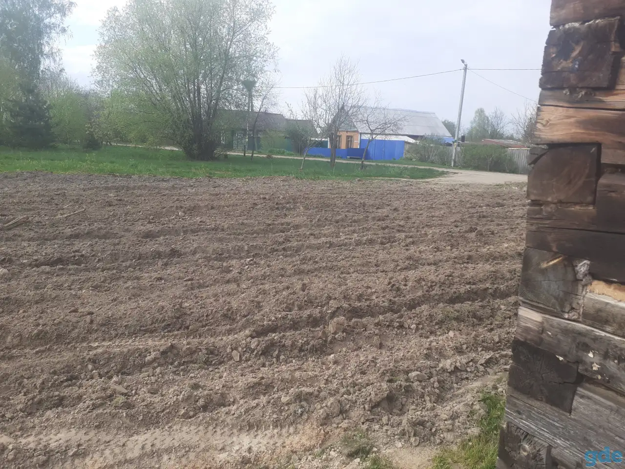 Сдам в аренду разработанный участок 20 соток под пшеницу или картошку., фотография 3