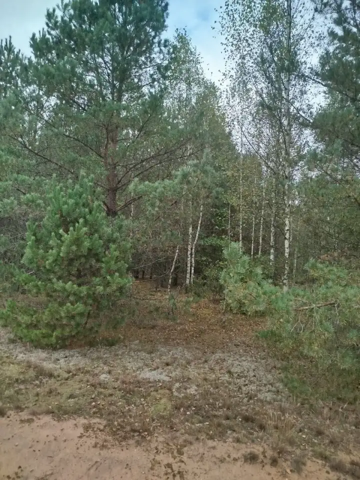 cдам усадьбу -дом возле Минска, Сдам коттедж баню, фотография 7