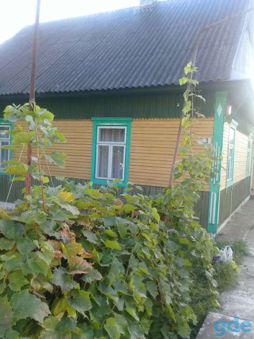 Срочно продам дом, деревня Большие Круговичи Ганцевичский район Брестской области, фотография 4