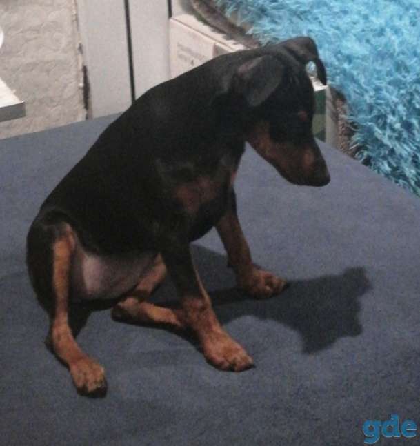 Продажа срочно, фотография 2