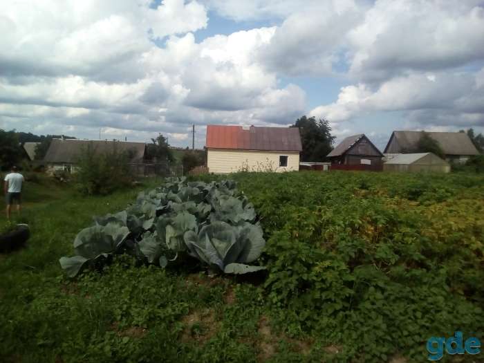 Дом в деревне, Д.Шинковцы, фотография 5