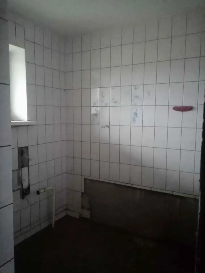 Дом с небольшим водоёмом, сараем, гаражом, садом, земли 24 сотки., фотография 11