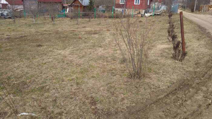 Срочно продам с/т Фантазия-Силичи, фотография 6
