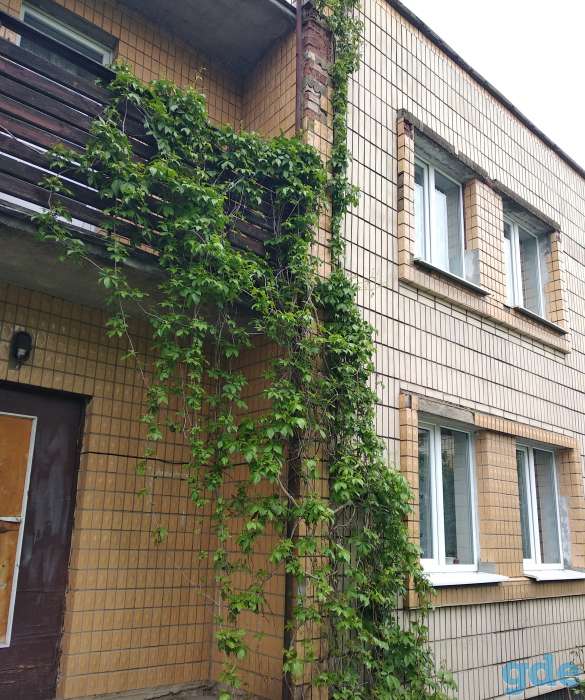 Продается коттедж, Малеч, Брестская область Березовский район, фотография 1