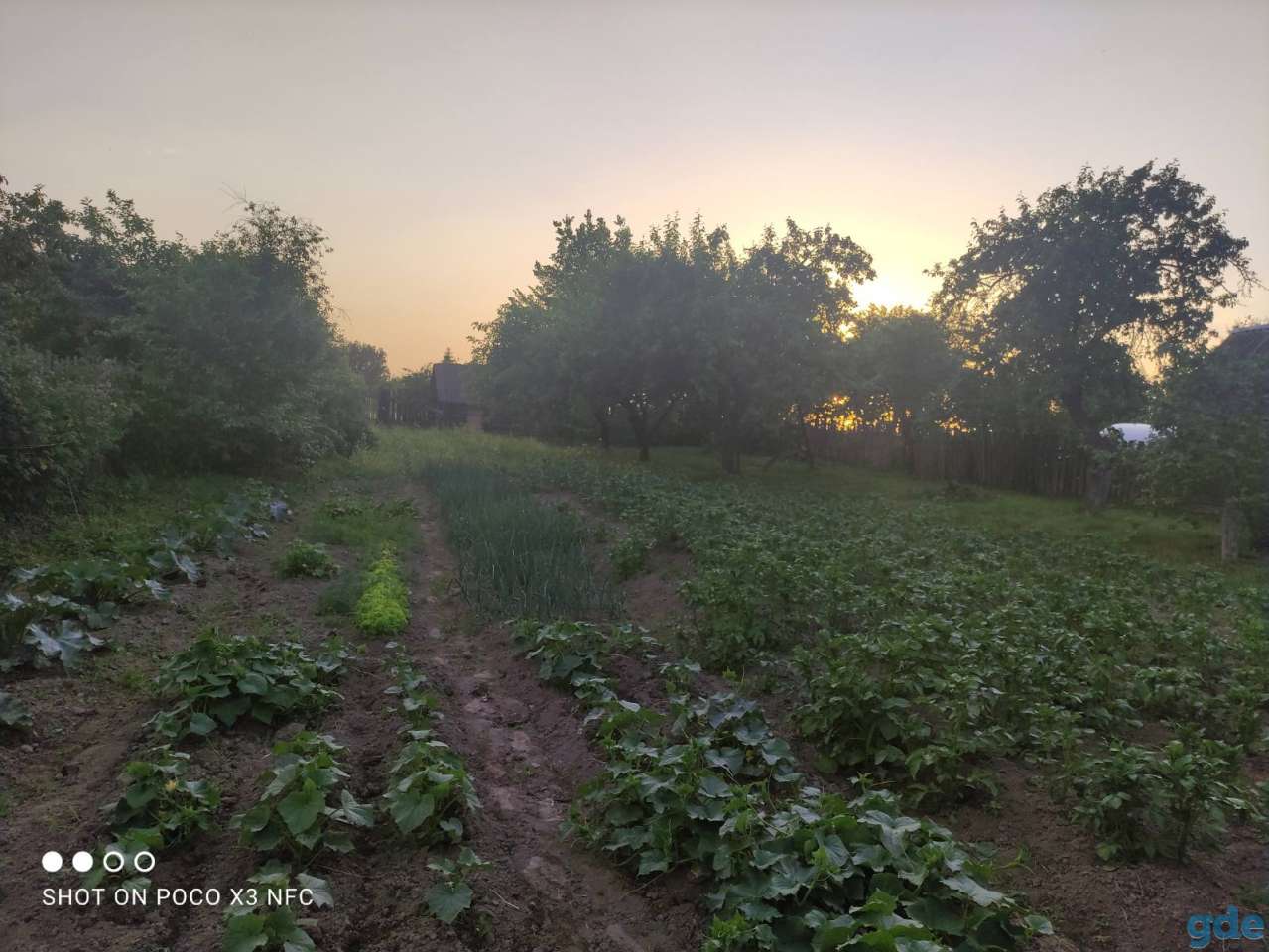 Продам дом, фотография 5