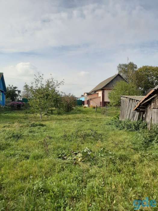 Дом для жизни, Гродненская область, Кореличский район, Оюцевичи, фотография 6