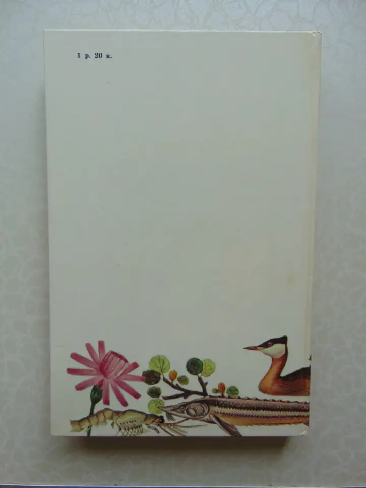 Они не должны исчезнуть. Животные, Растения, Минск, Народная Асвета,1987 год, Дорофеева, Сюборова, фотография 2