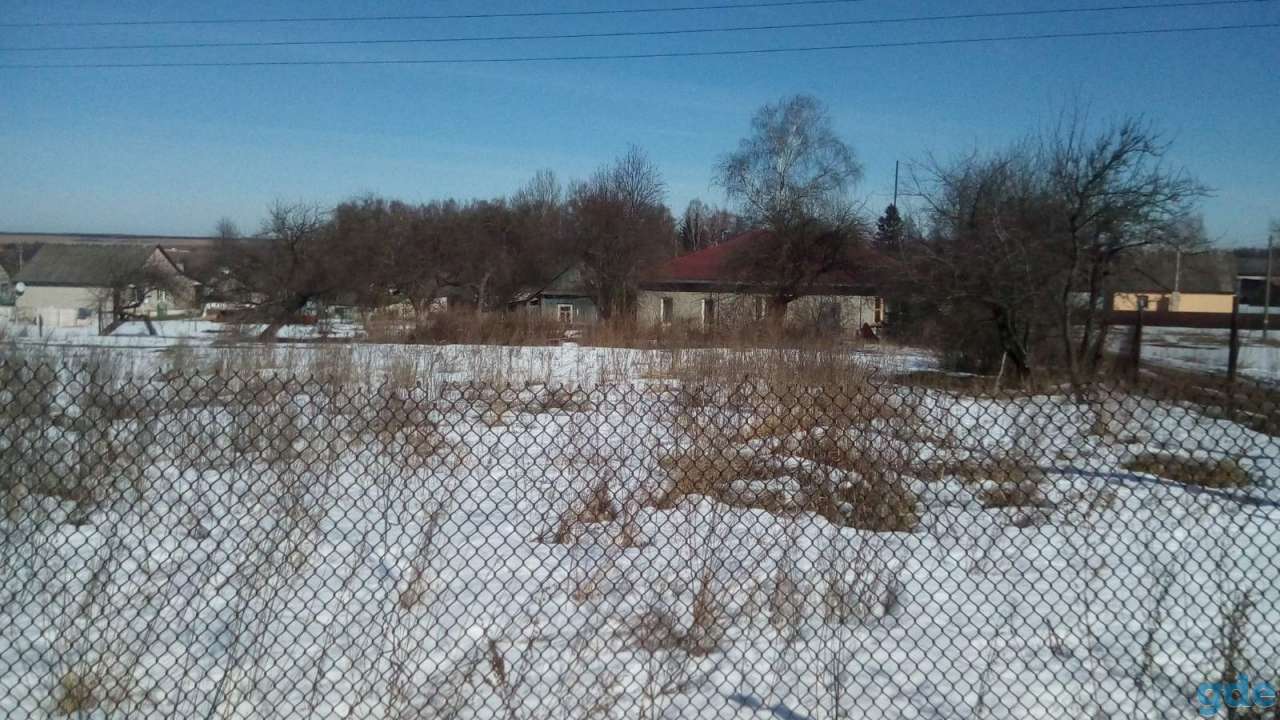 недвижимость, обл., Воложинский р-н,, фотография 2