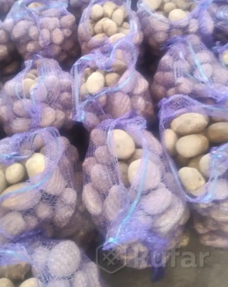 Продам картофель крупный, фотография 2