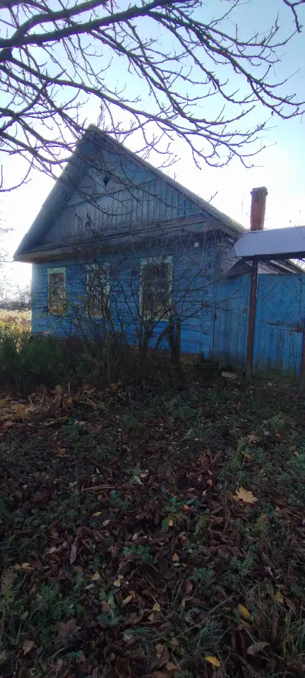 Участок с домом, П. Красный Октябрь, область, Буда-Кошелевский р- н., фотография 2