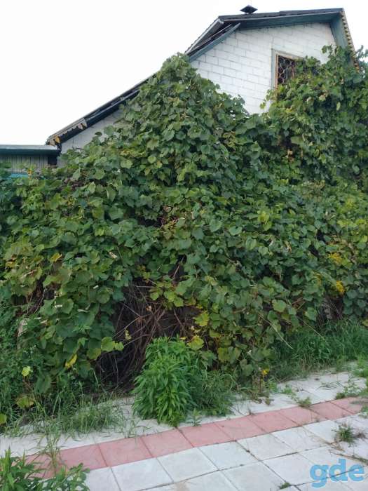 Продам дачу, фотография 1