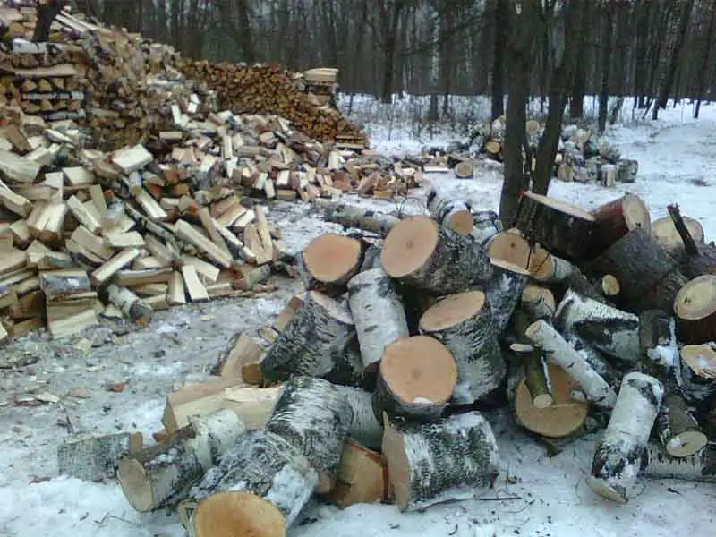 Продам дрова, фотография 1