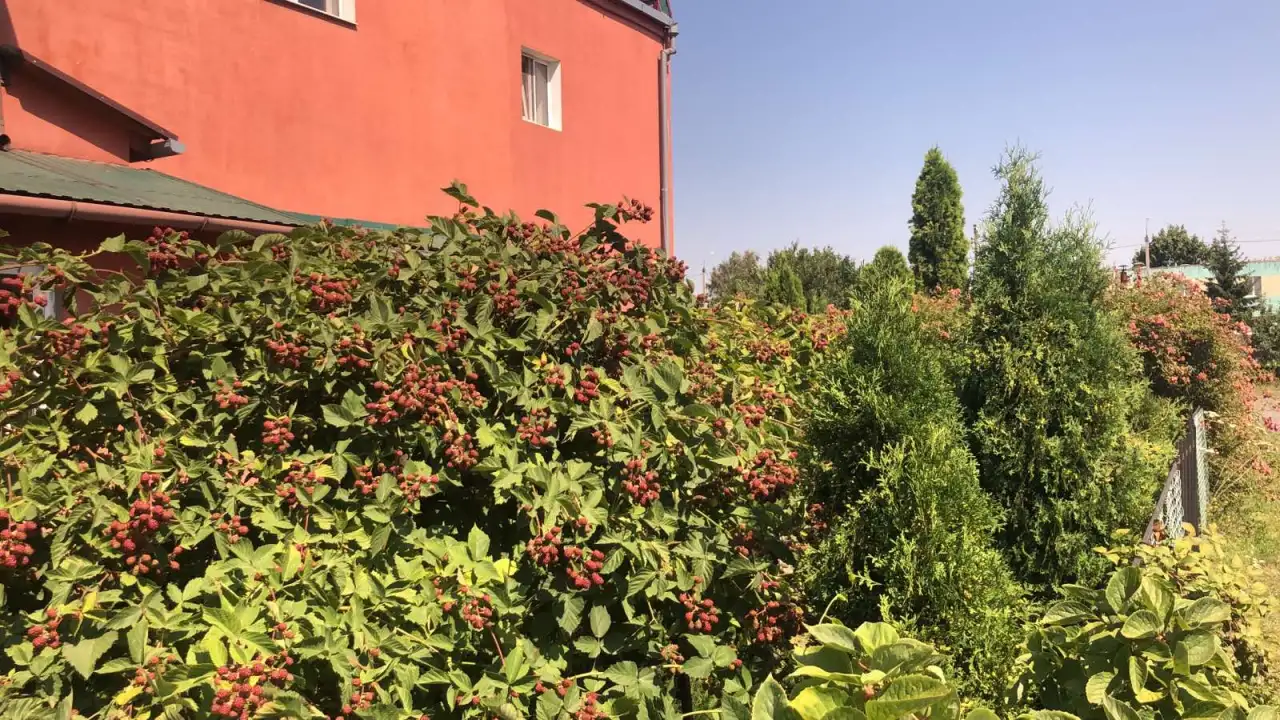 Сдам комнаты посуточно, Берестская область, ул. Баженовой, 3А, фотография 2
