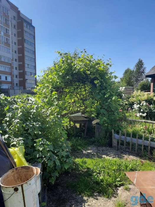 Продам, Витебская обл, фотография 3