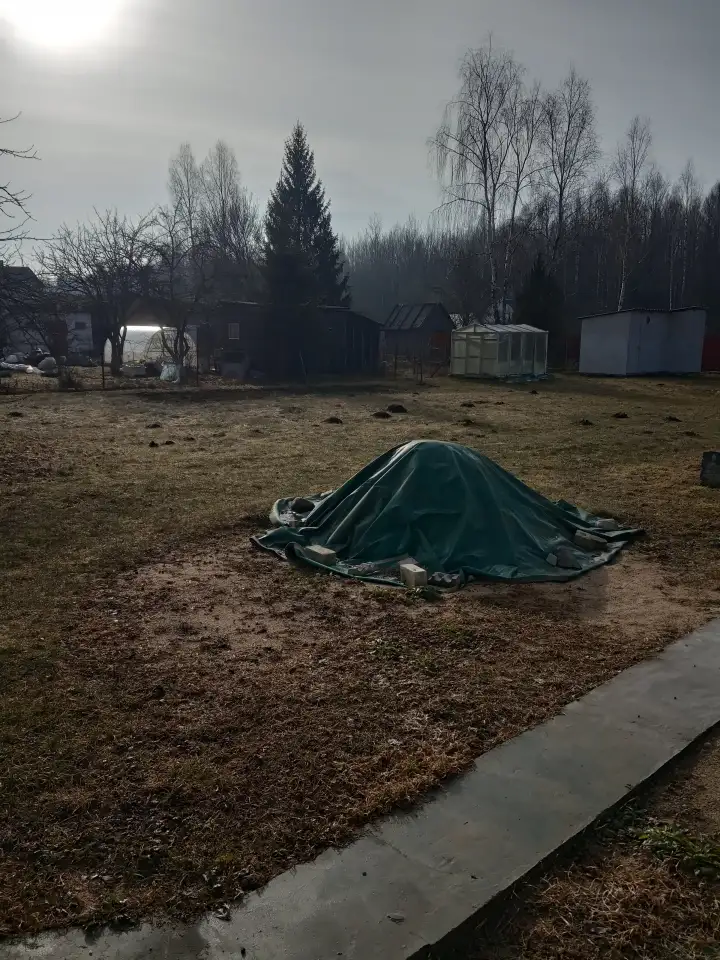 Дачный участок, Д. Мастище, фотография 4