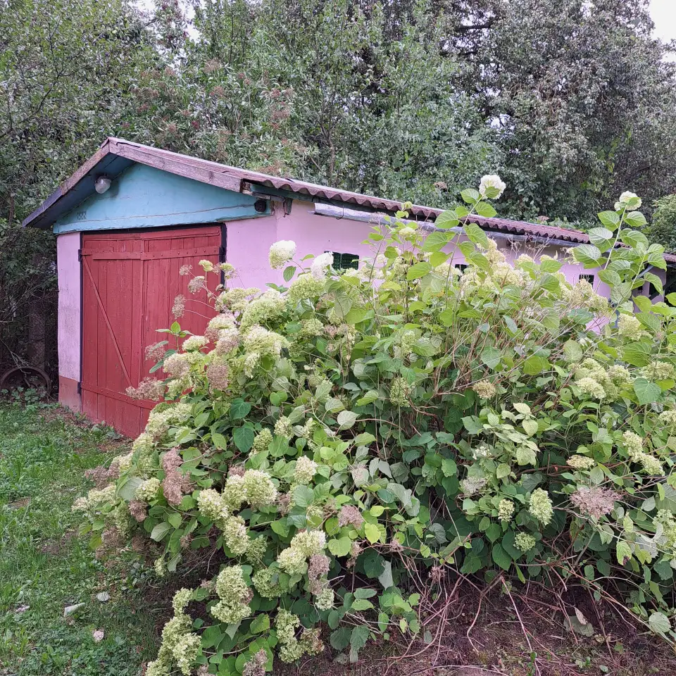 Продается дом в деревне Родковичи, Барановичского р-на, ул. Короткая 1-А, фотография 3