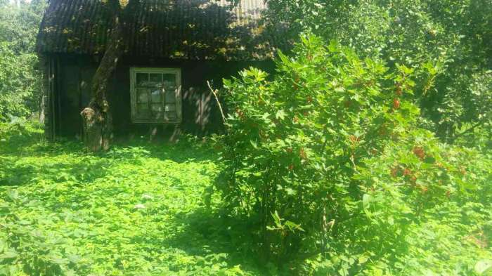 Продажа участка 90 соток под Барановичами, фотография 4