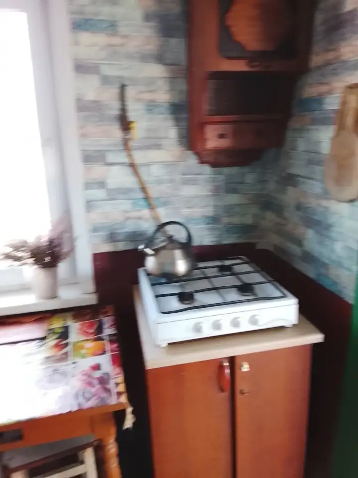 Дом с участком и садом, обл. Стародорожский район, дер. Рабак., фотография 7