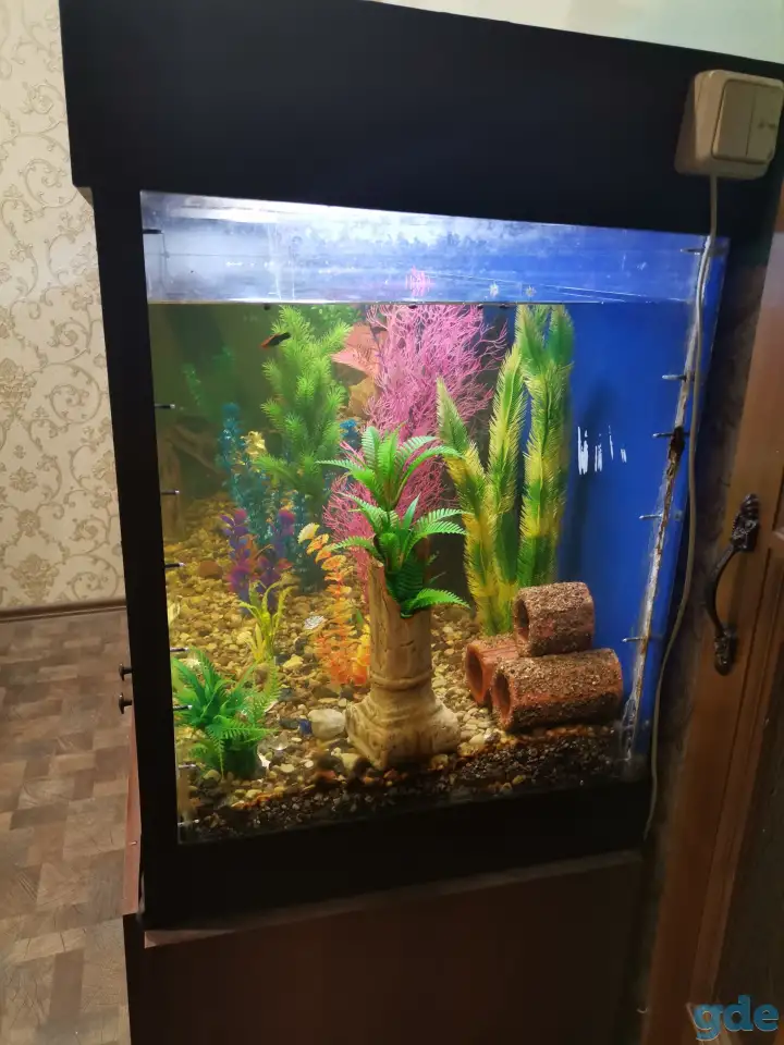 Продам СРОЧНО аквариум, фотография 3