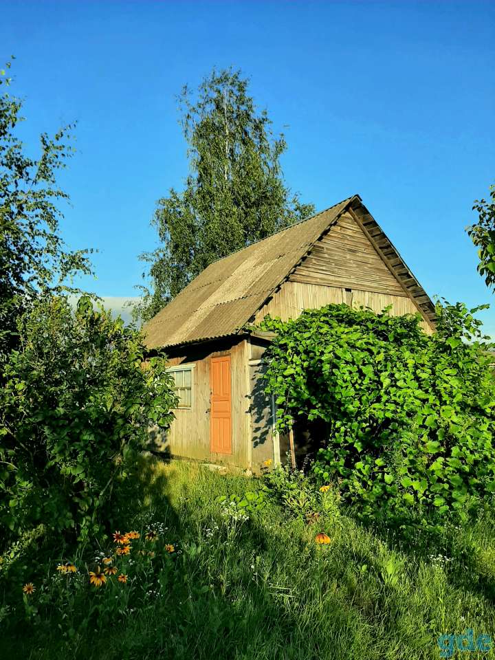 Дача, Садоводческое товарищество Марусино, фотография 2