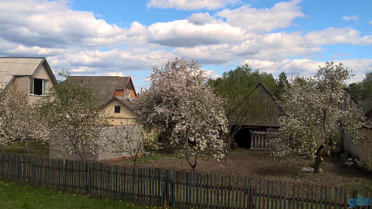 Продажа дома, Брестская область, Ивацевичский район, д. Выгонощи, ул Молодёжная 24, фотография 18