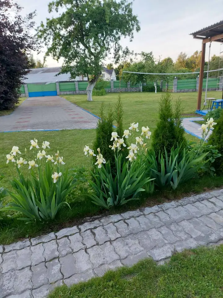 Усадьба с баней в д. Дворище, фотография 2