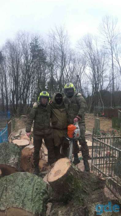Спилить большое,аварийное,сухое,трудное дерево, фотография 1