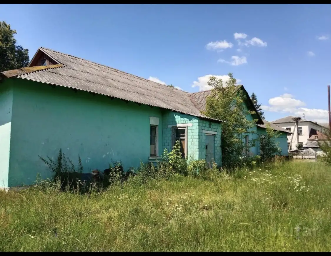 Домик в деревне, посёлок Галое, Кузьминичский сельсовет, район, Гомельская область, фотография 6