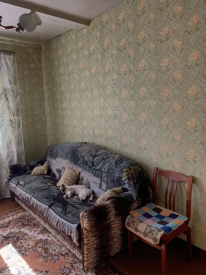 Дом в деревне, фотография 16