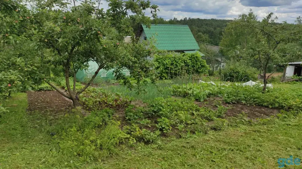 Дачный участок, Минская район.Садовае товарищества Подвески., фотография 2