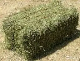 продам сено, фотография 3